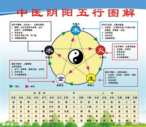 五行個性|五行人的性格和体质特点, 五行各属性的人物性格